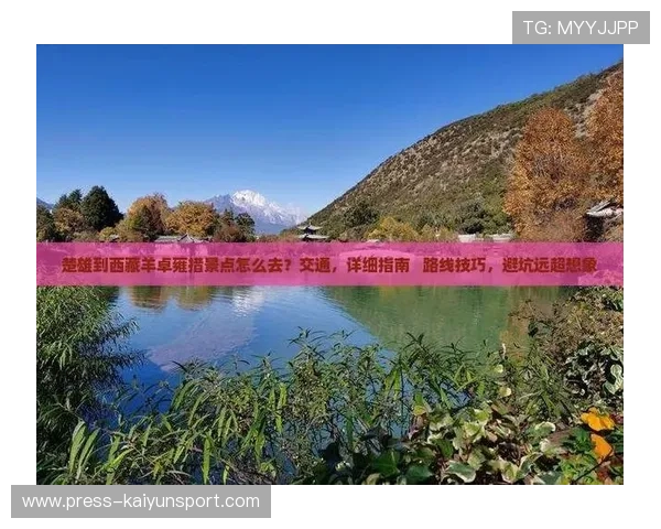 篮球直播玩球大型赛事预热防骗避坑指南